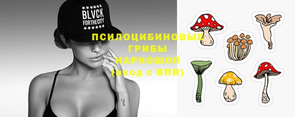 крисы Карпинск