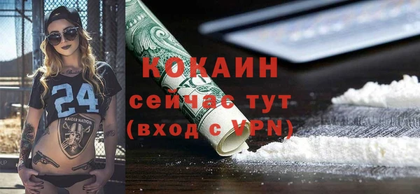 сатива Карталы