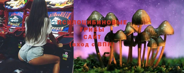 герыч Касимов