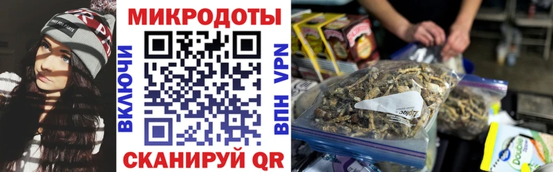 Купить закладки  Петухово  Галлюциногенные грибы Psilocybe 